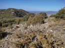 Sur les hauteurs